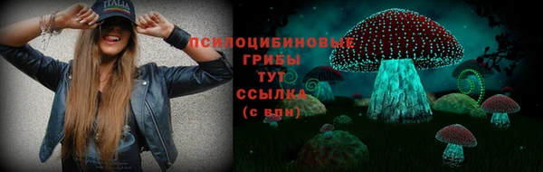 прущие грибы Аркадак