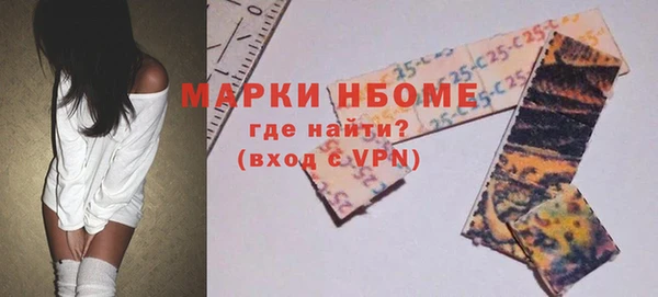 прущие грибы Аркадак