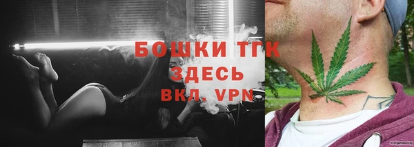 прущие грибы Аркадак