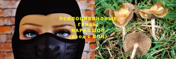прущие грибы Аркадак