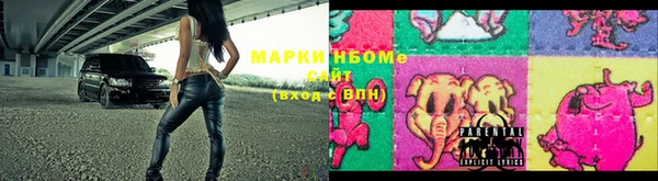 прущие грибы Аркадак
