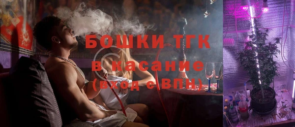 прущие грибы Аркадак